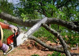 Trusted Hugoton, KS Tree Removal and Landscaping Services Experts